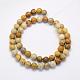 Natural Fossil Coral Beads Strands(G-G697-F01-6mm)-2