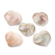 Natural Shiva Eye Shell Cabochons, Heart, Bisque, 24~26.5x26.5~31x8.5~9.5mm(SHEL-H006-01A)