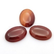 Natural Gemstone Cabochons, Oval, Red Agate, 25x18x5~7mm(G-P023-11)