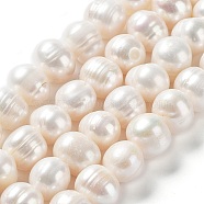 Natural Cultured Freshwater Pearl Beads Strands, Potato, Grade AB, Antique White, 9.5~13x9.5~11mm, Hole: 0.6mm, about 35pcs/strand, 14.37''(36.5cm)(PEAR-E019-09)