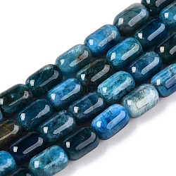 Natural Apatite Beads Strands, Faceted, Column, 9~9.5x6mm, Hole: 0.9~1mm, about 42~43pcs/strand, 15.24~15.8''(38.7~39.5cm)(G-G980-51A)