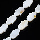 Natural Freshwater Shell Beads Strands(SHEL-S278-02-A01)-1