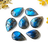 Natural Labradorite Healing Teardrop Stone, Reiki Energy Stone Display Decorations, 30~40mm(PW-WG54626-01)