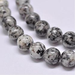 Natural Sesame Jasper/Kiwi Jasper Beads Strands, Round, Gray, 10mm, Hole: 1mm, about 38pcs/strand, 15.5 inch(G-F351-10mm)