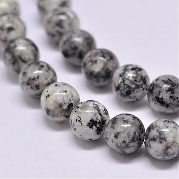 Natural Sesame Jasper/Kiwi Jasper Beads Strands, Round, Gray, 10mm, Hole: 1mm, about 38pcs/strand, 15.5 inch