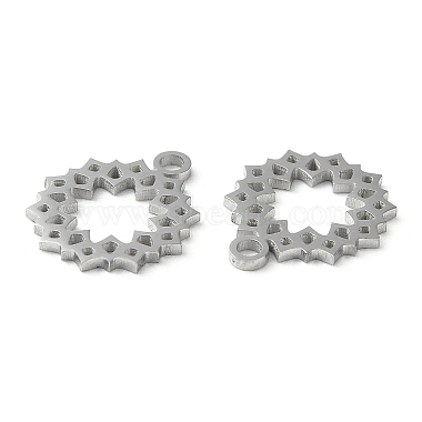 304 Stainless Steel Charms(STAS-Q303-06P)-2