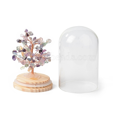 Geldbaum aus natürlichen Fluoritsplittern in gewölbten Glasglocken mit Holzsockel als Dekoration(DJEW-B007-04D)-2