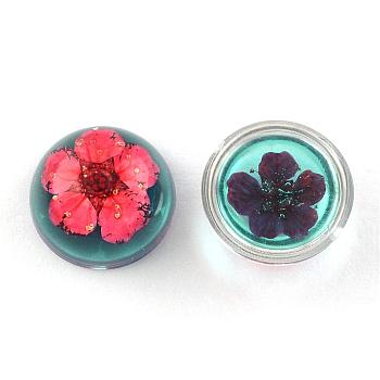 Resin Cabochons, Dome, Half Round, with Dried Flower inside, Prussian Blue, 11.5~12x6~6.5mm