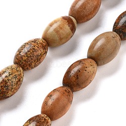 Natural Picture Jasper Beads Strands, Rice, 12x8mm, Hole: 1.2mm, about 33pcs/strand, 15.94''(40.5cm)(G-B106-B21-01)