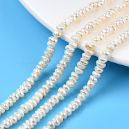 Natural Cultured Freshwater Pearl Beads Strands, Baroque Keshi Pearl Beads, Nuggets, Seashell Color, 4~5x4~5x2~3mm, Hole: 0.7mm, about 81~91pcs/strand, 14.17 inch(36cm)(PEAR-N015-04C)