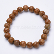 Natural Picture Jasper Beaded Stretch Bracelets, Round, 1-3/4 inch~2-1/8 inch(48~54mm)(BJEW-S128-14)