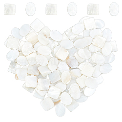 100Pcs 2 Style Natural Freshwater Shell Cabochons, Square & Oval, Seashell Color, 50pcs/style(SHEL-GF0001-01)