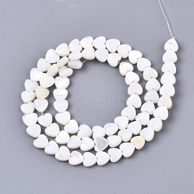 Eau douce naturelle de coquillage perles brins(X-SHEL-N026-67)-2