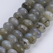 Natural Labradorite Beads Strands, Rondelle, 8x5~5.5mm, Hole: 0.8mm, about 70~74pcs/strand, 14.8  inch~15.3 inch(37.5~39cm)(G-P354-01-8x5mm)