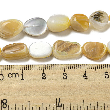 Natural Yellow Shell Beads Strands(SSHEL-H072-08)-4