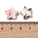 Handmade Porcelain Beads(PR-CBA20FF-01)-3