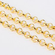 Iron Rolo Chain, Unwelded, with Spool, Lead Free, Golden, 4x1mm, about 164.04 Feet(50m)/roll(CH-S078-G-LF)
