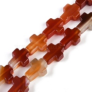 Natural Red Agate Beads Strands, Cross, 15x11.5x4.5mm, Hole: 0.7mm, about 25pcs/strand, 15.75''(40cm)(G-I369-A20-02)