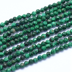 Natural Malachite Beads Strands, Faceted, Round, 2mm, Hole: 0.6mm, about 195pcs/strand, 15.35 inch(39cm)(G-I279-E15-01)