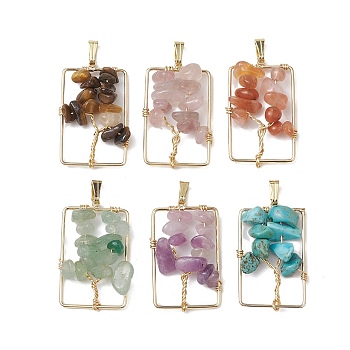 6Pcs 6 Styles Natural Mixed Gemstone Chip Pendants, Tree of Life Charms with Rectangle Brass Frame, Long-Lasting Plated, Nickel Free, Mixed Dyed and Undyed, 26.5x16x5~6mm, Hole: 5x2mm, about 1pc/style