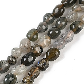 Natural Labradorite Beads Strands, Nuggets, Tumbled Stone, 4~6x7~10x4~6mm, Hole: 1mm, 15.75''(40cm)