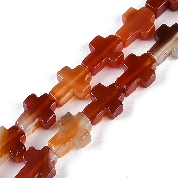 Natural Red Agate Beads Strands, Cross, 15x11.5x4.5mm, Hole: 0.7mm, about 25pcs/strand, 15.75''(40cm)