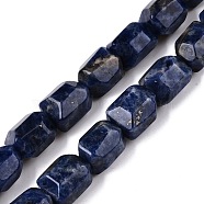 Natural Sodalite Beads Strands, Faceted, Nuggets, 16~17x12~13.5x10.5~13mm, Hole: 1.2mm, about 13pcs/strand, 8.46~8.66 inch(21.5~22cm)(G-N342-145)