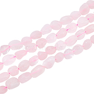 2 Strands Natural Rose Quartz Beads Strands, Oval, 8~15x8~10x4~10mm, Hole: 1mm, about 36~42pcs/strand, 15.7''(39.88cm)(G-NB0004-25)