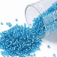 TOHO Round Seed Beads, Japanese Seed Beads, (23BF) Silver Lined Frost Dark Aquamarine, 15/0, 1.5mm, Hole: 0.7mm, about 15000pcs/50g(SEED-XTR15-0023BF)