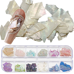 1 Set 12 Colors Shell Slices, Manicure Nail Art Decoration, Nuggets, Mixed Color, 4~17x3.5~14x0.4mm(MRMJ-SP0001-05B)