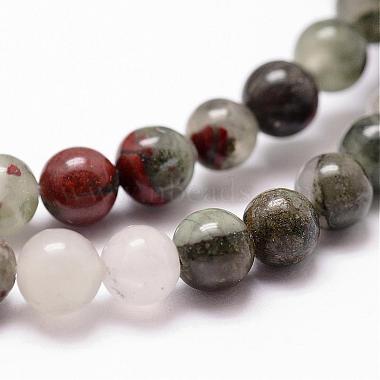 Natural African Bloodstone Beads Strands(G-D840-66-10mm)-3