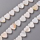 Natural Freshwater Shell Beads Strands(X-SHEL-R144-25)-1