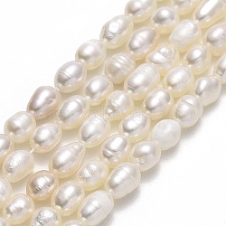 Natural Cultured Freshwater Pearl Beads Strands, Rice, Linen, 5.5~6.5x4~4.5mm, Hole: 0.5mm, about 68~69pcs/strand, 15.35''~15.55"(39~39.5cm)(PEAR-J006-10C-01)