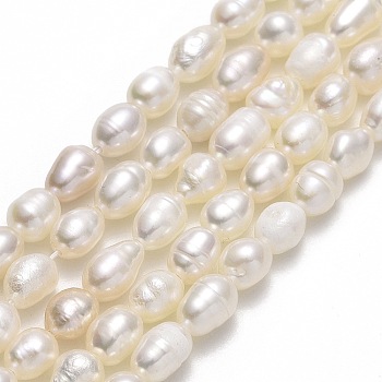 Natural Cultured Freshwater Pearl Beads Strands, Rice, Linen, 5.5~6.5x4~4.5mm, Hole: 0.5mm, about 68~69pcs/strand, 15.35''~15.55"(39~39.5cm)