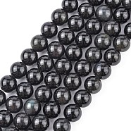 Natural Obsidian Bead Strands, Round, 8~9mm, Hole: 1mm, about 46pcs/strand, 15.3 inch(X-G-R173-8mm-02)