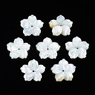 Natural White Shell Beads, Flower, 14.5x14.5x1.5~2.5mm, Hole: 1mm(SSHEL-N027-131B-01)