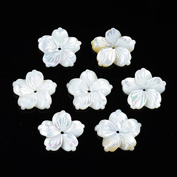 Natural White Shell Beads, Flower, 14.5x14.5x1.5~2.5mm, Hole: 1mm
