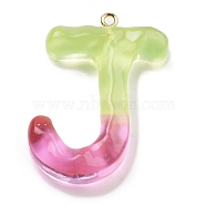 Resin Pendant, with Iron Ring Finding, Letter A~Z, Letter J, 40.5x27x7mm, Hole: 2mm(FIND-Q107-01J-03)