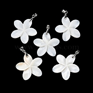Natural Freshwater Shell Pendants, Flower Charms with Platinum Plated Brass Pinch Bails, White, 29x30x3mm, Hole: 4.5x4mm(BSHE-Z003-31P)