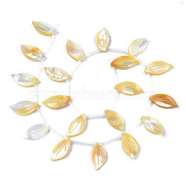 Natural Yellow Shell Beads Strands(SSHEL-S278-118)-2