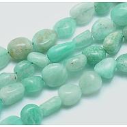 Natural Amazonite Beads Strands, Tumbled Stone, Nuggets, 6~8mm, Hole: 0.8mm, about 45~47pcs/strand, 15.7 inch(40cm)(G-E483-50)
