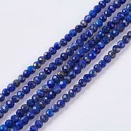 Natural Lapis Lazuli Beads Strands, Faceted, Round, 2mm, Hole: 0.5mm, about 197pcs/strand, 15.7 inch(G-J376-51A-2mm)