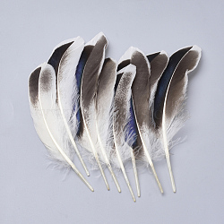 Feather Costume Accessories, Dyed, White, 115~160x20~35mm(X-FIND-Q046-15F)