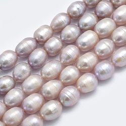 Natural Cultured Freshwater Pearl Beads Strands, Rice, Dark Orchid, 8~13x7mm, Hole: 0.8mm, about 42pcs/strand, 14 inch(35.5cm)(PEAR-F007-85B-01)