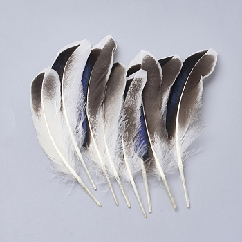 Feather Costume Accessories, Dyed, White, 115~160x20~35mm