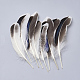Feather Costume Accessories(X-FIND-Q046-15F)-1