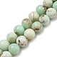 Natural Green Opal Beads Strands(G-R494-A08-04)-1