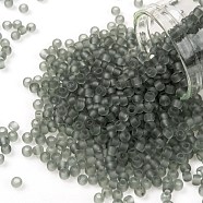 TOHO Round Seed Beads, Japanese Seed Beads, (9F) Transparent Frost Light Gray, 8/0, 3mm, Hole: 1mm, about 222pcs/bottle, 10g/bottle(SEED-JPTR08-0009F)