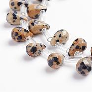 Natural Dalmatian Jasper Beads Strands, Top Drilled Beads, Teardrop, Faceted, 9x6mm, Hole: 1mm, about 38~44pcs/strand, 16.1 inch~18.1 inch(41~46cm)(G-J360-08)