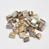 Dyed Natural Freshwater Shell Chip Beads, Dark Khaki, 8~15x7~8mm, Hole: 1mm, about 750pcs/500g(SHEL-O001-28F)